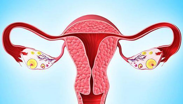 输卵管阻塞怎么治疗？输卵管阻塞需要做试管婴(图1)