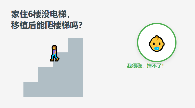 家住6楼没电梯，移植后能爬楼梯吗？慢慢走，掉不出来！