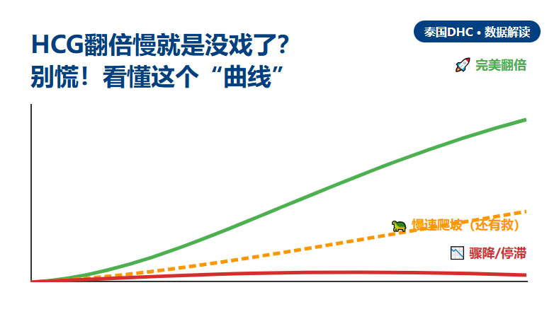 HCG翻倍慢就是没戏了？别急着放弃，有一种宝宝叫慢热型！