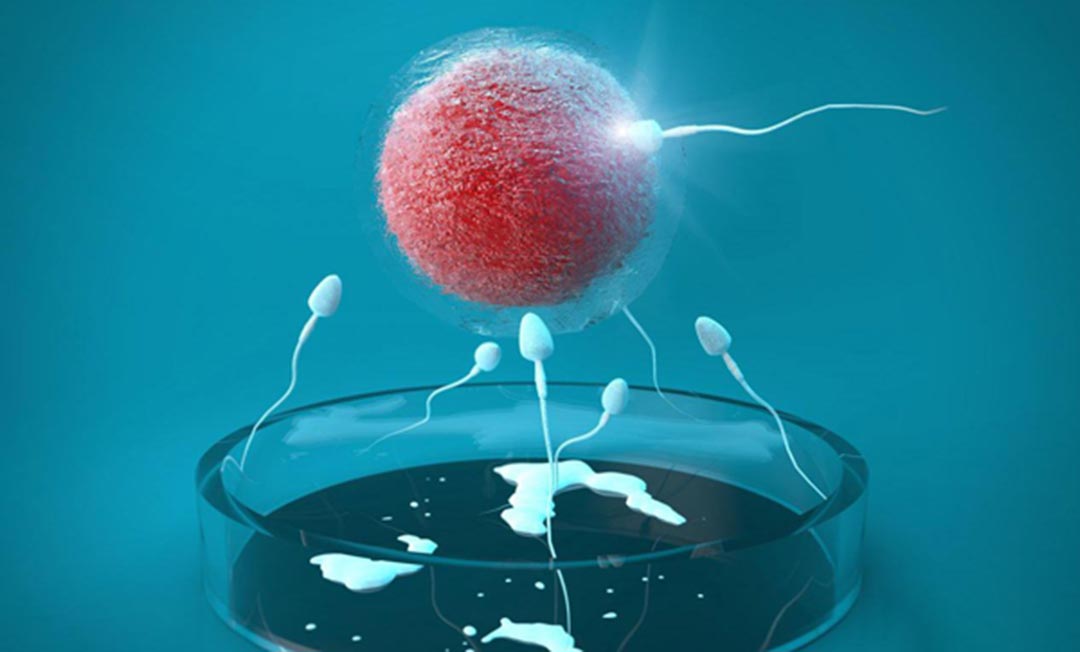 试管备孕前男性需要检查精液吗？需要注意哪些？