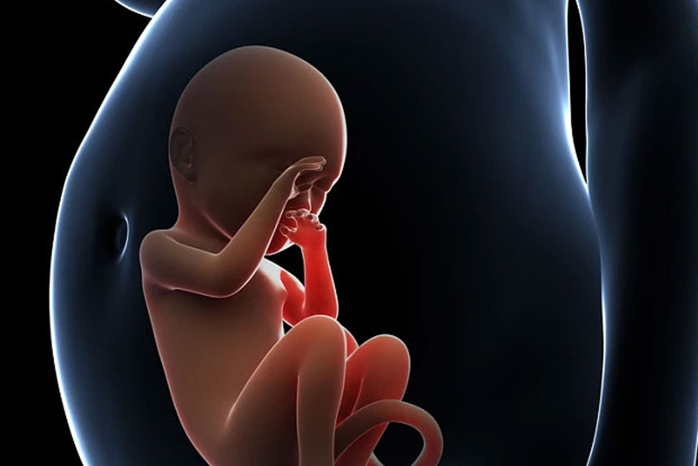 子宫腺肌症能做试管婴儿吗？子宫腺肌症做试管婴儿成功率