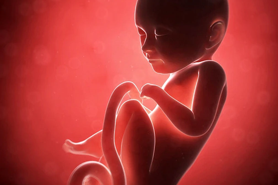 泰国试管得来的宝宝与自然受孕的有什么区别？