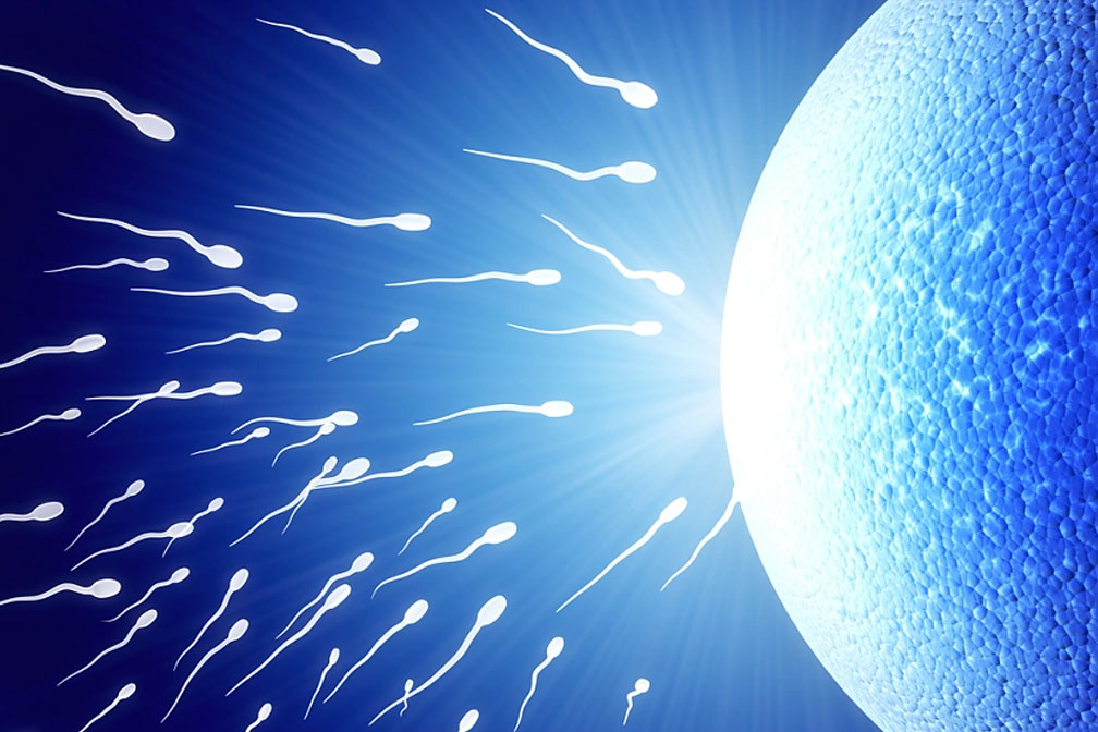 图层 38 图层 38