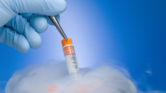 冷冻胚胎技术