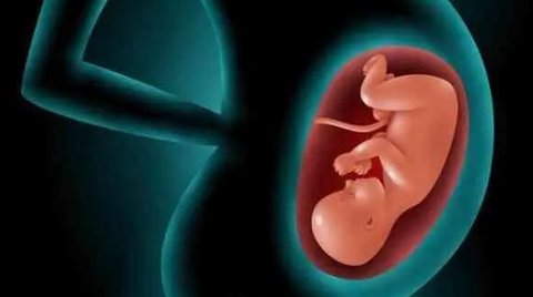 三代试管可以放2个胚胎吗？三代试管放2个胚胎的成活率？