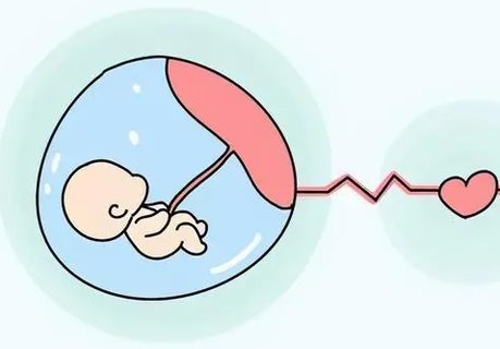 怀孕 怀孕